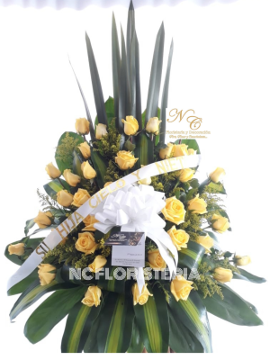 Triangulo de Rosas Amarillas