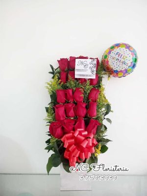 Cobo Rosas Rojas