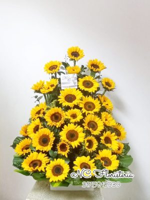 tradicional girasoles