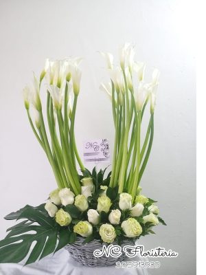 ESPECIAL CARTUCHOS BLANCOS