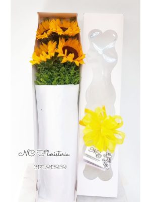 caja de girasoles