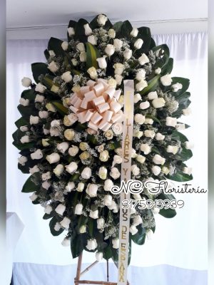 imponente rosas blancas